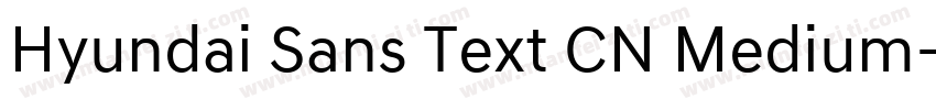 Hyundai Sans Text CN Medium字体转换